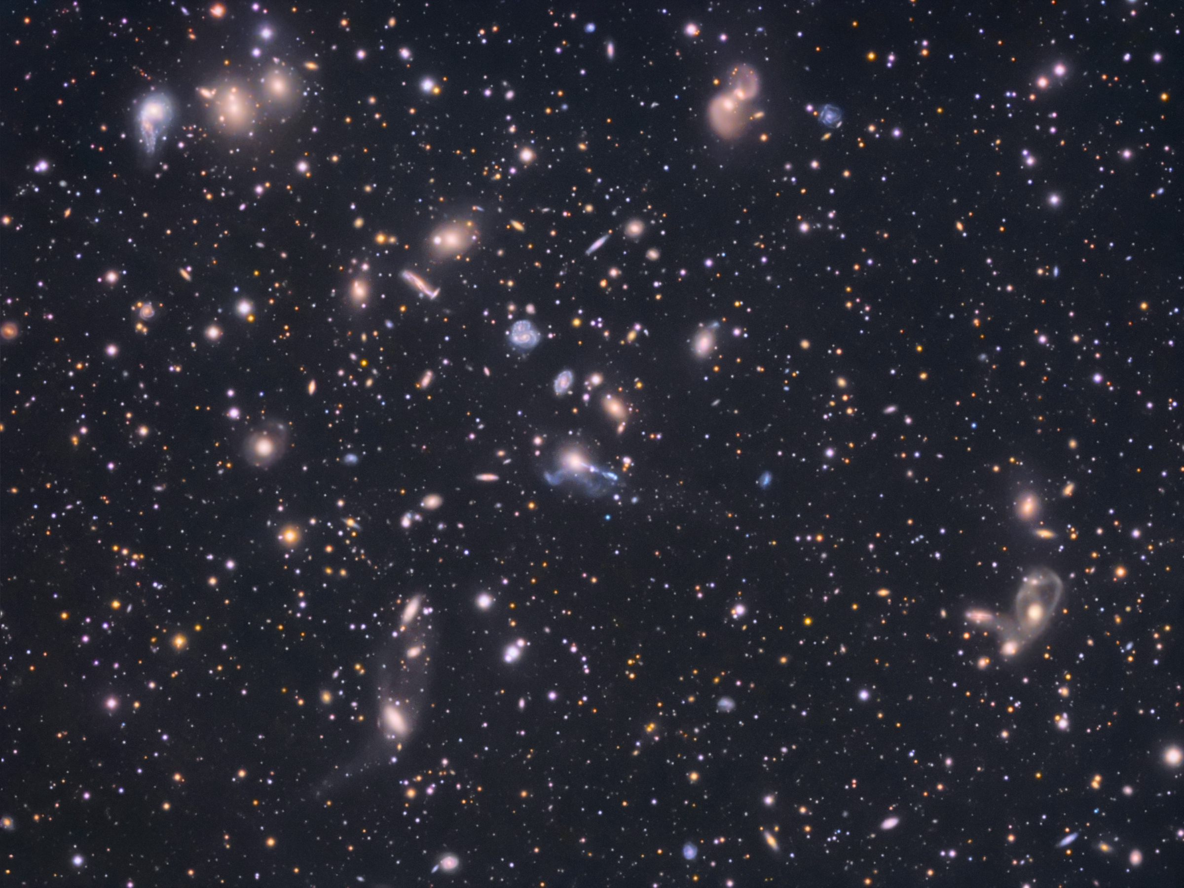 Abell 2151 - The Hercules Cluster of Galaxies by Tony Hallas - Star Image V...