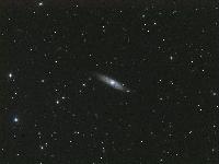 NGC 7184 by Jim Riffle