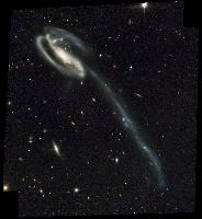 Tadpole Galaxy by Hubble
