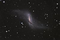 NGC 660 by Dan and Erica Simpson/Flynn Haase/NOAO (12/4/2005)