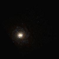 NGC 4041 by Hubble