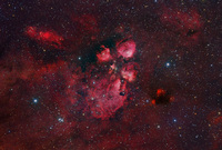 The Cat's Paw Nebula  by Robert Gendler & Martin Pugh