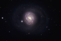 http://www.capella-observatory.com/images/Galaxies/M77Big.jpg