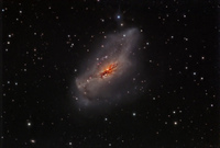 http://rdelsol.com/Galaxy/NGC2146_LLRGB.jpg