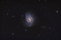 NGC 4535 Spiral Galaxy by Adam Block