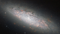 NGC 6503 by ESA/Hubble and NASA